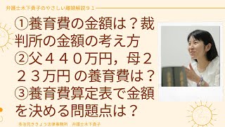 養育費の金額の具体的計算方法は？養育費算定表の元になる計算式，裁判所の考え方は？養育費算定表で養育費金額を決める場合、自分のケースにおける問題点の見つけ方は？〜弁護士木下貴子のやさしい離婚解説91