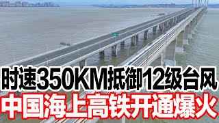 时速350KM抵御12级台风，中国海上高铁开通爆火