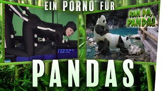 Ein Porno für Pandas