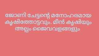 #ജോണി ചേട്ടന്റെ വീട്ടിലെ അടുക്കള തൊട്ടവും പിന്നെ മീൻ കൃഷിയും