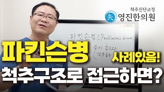 파킨슨병, 척추구조를 살펴봅시다. 치료의 우선순위 알기.