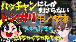 [切り抜き]似てるけどハッチャンにしか刺さらないトンガリのモノマネをする瀬戸あさひww