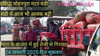 मटर का आज मंडी भाव# मोहनपुरा मटर मंडी#mater rate today# 24 जनवरी 2025#kisan utkarsh vlogs