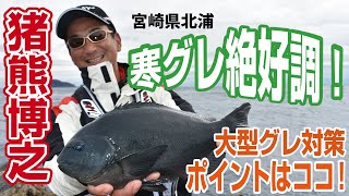 【TORAY】宮崎県北浦 型揃いの寒グレが爆釣！ 名手・猪熊博之による実釣解説！