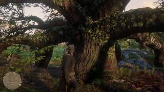 Killer Clue Locations Red Dead Redemption 2