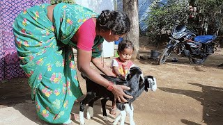 నా చిన్న తల్లి చూడండి ఎలా ఆడుకుందో 😊