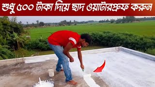 খুব কম খরচে বাড়ির ছাদ Water Proofing