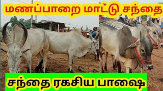 மணப்பாறை மாட்டு சந்தை |காளை மாடு|manaparai mattu santhai