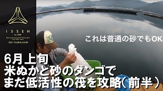 ISSEN　ニシダテツヤ実釣動画1（前半）　筏釣りのダンゴを米ぬか+砂で作ろう！【6月初旬某所】