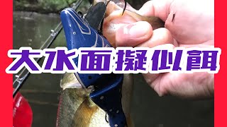 田村釣具 ドデカイ!!トップウォーターで釣る！【水面奇術】#255 再放送