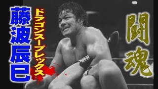 プロレス　闘魂　藤波辰巳　ドラゴンスープレックス　tatsumi fujinami