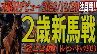 今年のラスト２歳新馬戦の注目馬を映像チェック ! !  2023年12月28日に実戦デビュー。馬の詳細は概要欄に。目的レースまでのチャプターも👇に。トレセンパドック2023