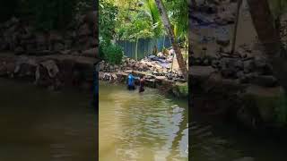 60 രൂപയ്ക്ക് സ്വർഗ്ഗത്തിലൂടെ ഒരു യാത്ര (see kuttanad )