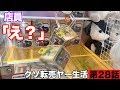 安い景品でも乱獲しまくれば稼げるんじゃね？ 【ゼロから始めるクソ転売ヤー生活 第28話】