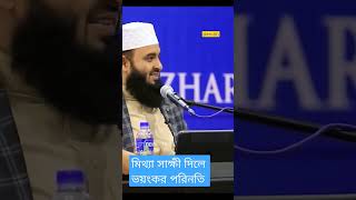 মিথ্যা সাক্ষীর ভয়ংকর পরিনতি #new #mtvbd #mizanur_rahman_azhari