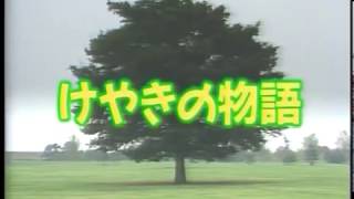 「風は世田谷」～第９１回～けやきの物語（昭和62年6月27日放送）