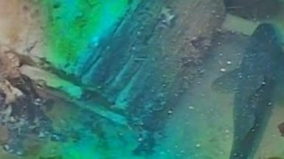 Ship lost for 168 years found in the Arctic