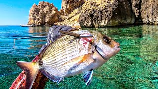 Spearfishing Croatia vs Murky Dry Day April 2024 4K 🇭🇷