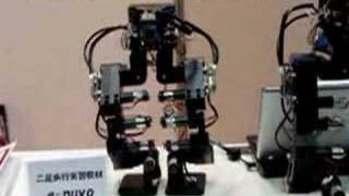 e-nuvo - The Nuvo Robot's Education