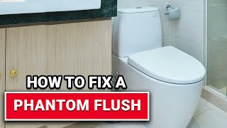 How To Fix A Phantom Flush - Ace Hardware