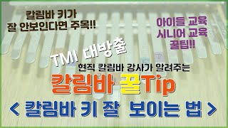 [ 칼림바 TMI 강의 ] 칼림바 키가 잘 안보이셨던 분들 주목!!