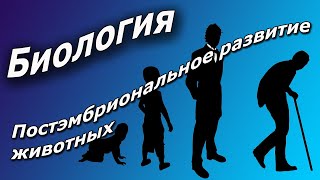 Постэмбриональное развитие животных