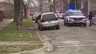 Deadly and violent year in Chicago but activists say pandemic is not the only thing to blame