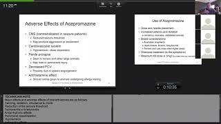 acepromazine tues lecture