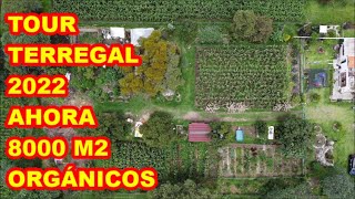 TOUR TERREGAL 2022, ahora cultivamos 8000 m2 ORGANICAMENTE y con EXITO TOTAL. \