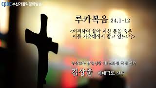 오늘의 강론(2022.04.16) - 부산교구 남천성당 제1보좌겸 국내 연학 김상준 베네딕토 신부님