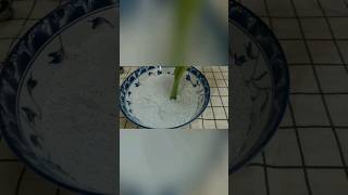 班兰米发糕 把剩饭做成发糕 简单又好吃 Pandan Rice Huat Kueh by Wong's Cooking Part 2 #shorts