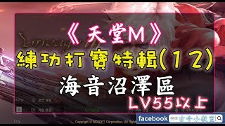 《天堂M》打寶練功特輯(12) 海音沼澤區 - LV55以上 - BS模擬器