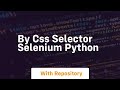 by css selector selenium python