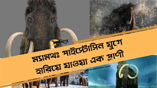 ম্যামথ: প্লাইস্টোসিন যুগে হারিয়ে যাওয়া এক প্রাণী | Mammoth | Dekheto