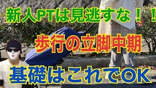 【ここがポイント】立脚中期を５分で理解できる動画です！