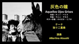 灰色の瞳　ケーナ独り二重奏 AReriina Atsushi