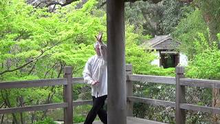 Walking The Post Baguazhang Shifu Yancy Orchard Saskatoon SK.