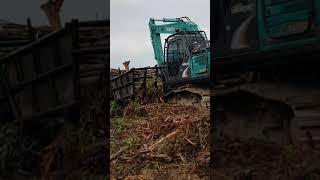 The hard way to Debark Eucalyptus