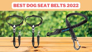 Dog Seat Belts | Best Dog Seat Belts reviews 2022