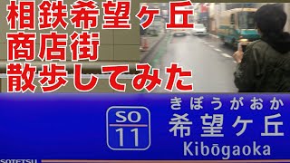 【相鉄線】希望ヶ丘駅商店街を散歩してみた！焼き鳥！横浜！相鉄線探検応援MOVIE1