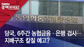 당국, 6주간 농협금융·은행 검사…지배구조 칼질 예고?