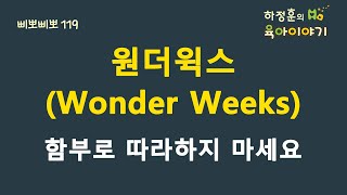 #211  원더윅스(wonder Weeks), 함부로 따라하지 마세요!