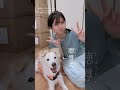 【聴導犬クラファンへ難聴うさぎさんの軌跡👏✨】