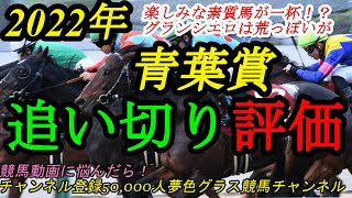 【最終追い切り評価】2022青葉賞！素質馬の揃ったダービートライアル！グランシエロは荒さも素質も1級品？