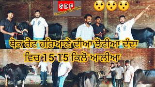 20 September 2023 ਫੋਨ 98146-24311 98150-97203 ਇਹ ਲੱਖਾ ਤੇ ਜੱਸੇ ਹੋਣਾ ਦੁਆਰਾ ਕੀਤੇ ਰੇਟ ਆ 😯😯😯