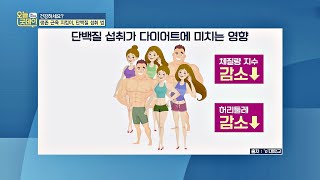 건강한 다이어트에 도움을 주는 '단백질' 오늘, 굿데이(goodday) 159회