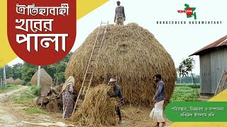 গ্রামের খড়ের পালা । Pile of paddy straw