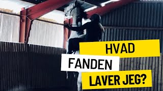 Uge 4 - Kigger tilbage på gamle vlogs