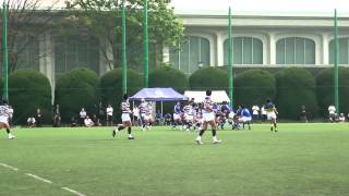 ラグビー春季大会 東海大学VS明治大学2