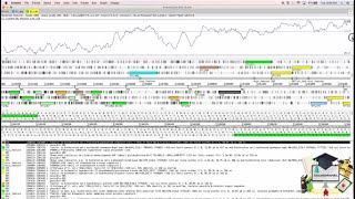 Visualising Genome Annotation In Artemis
